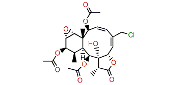 Briarenol P